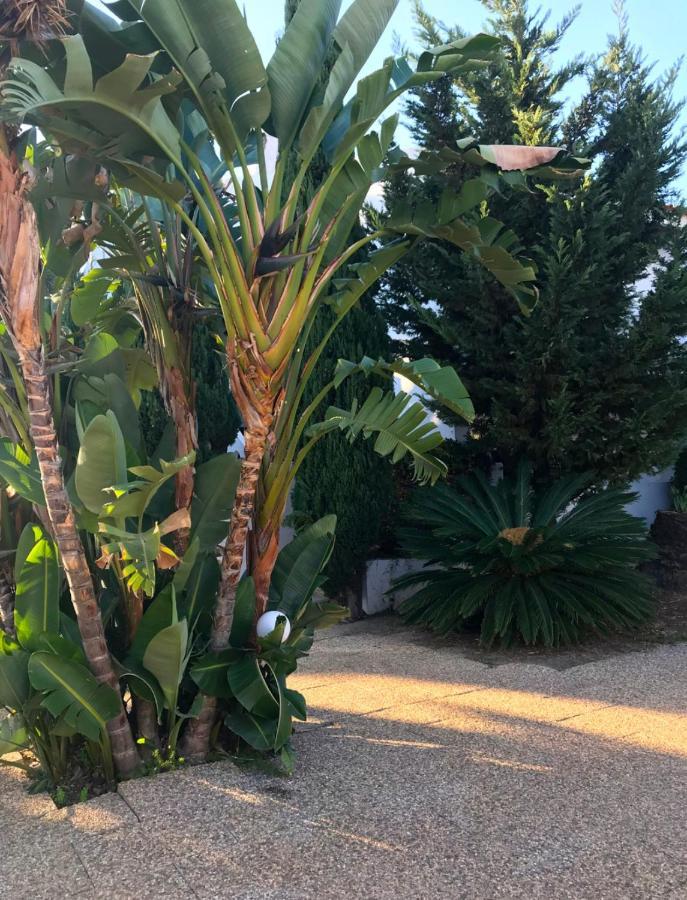 Solar De Sao Joao Lejlighedshotel Albufeira Eksteriør billede